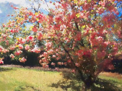 Cherry Blossom by Helen White